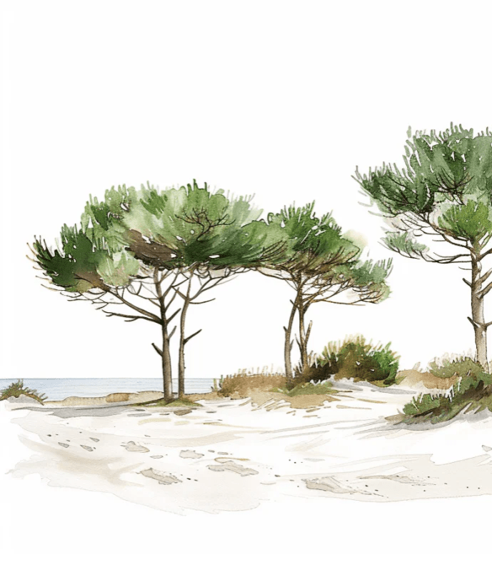 Les Pins de la Plage : Évasion Naturelle - Illulart: Papier peint panoramique