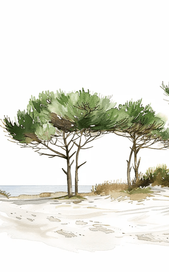 Les Pins de la Plage : Évasion Naturelle - Illulart: Papier peint panoramique