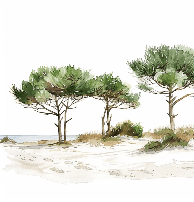 Les Pins de la Plage : Évasion Naturelle - Illulart: Papier peint panoramique