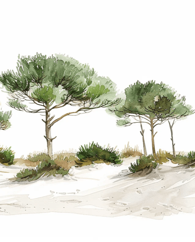 Les Pins de la Plage : Évasion Naturelle - Illulart: Papier peint panoramique