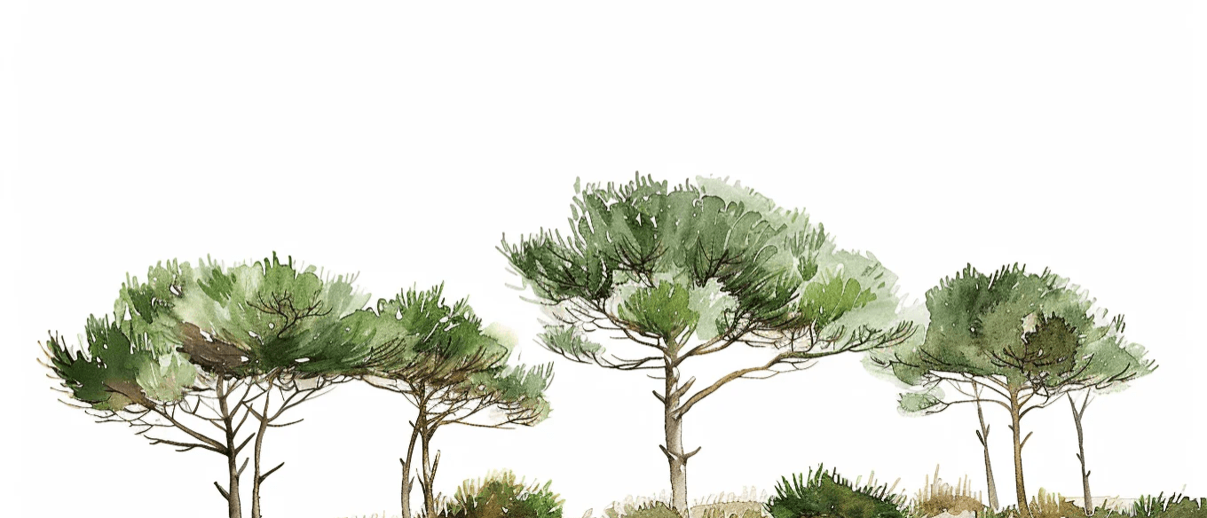 Les Pins de la Plage : Évasion Naturelle - Illulart: Papier peint panoramique