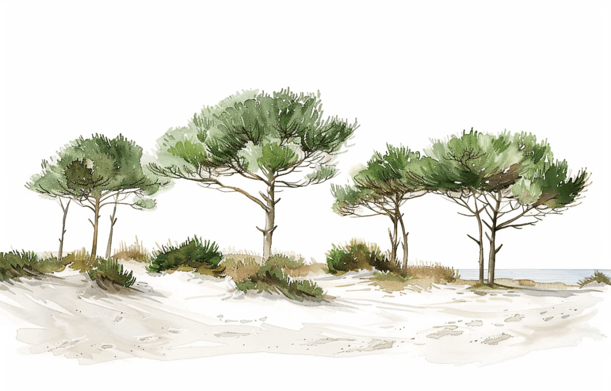 Les Pins de la Plage : Évasion Naturelle - Illulart: Papier peint panoramique