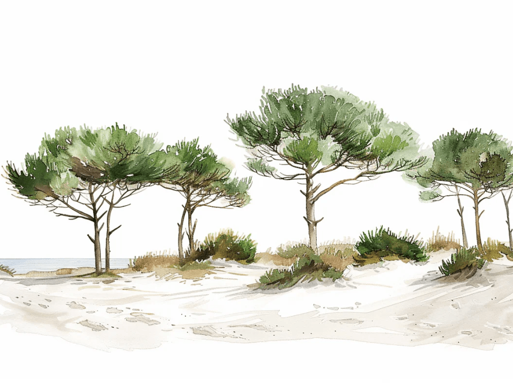 Les Pins de la Plage : Évasion Naturelle - Illulart: Papier peint panoramique