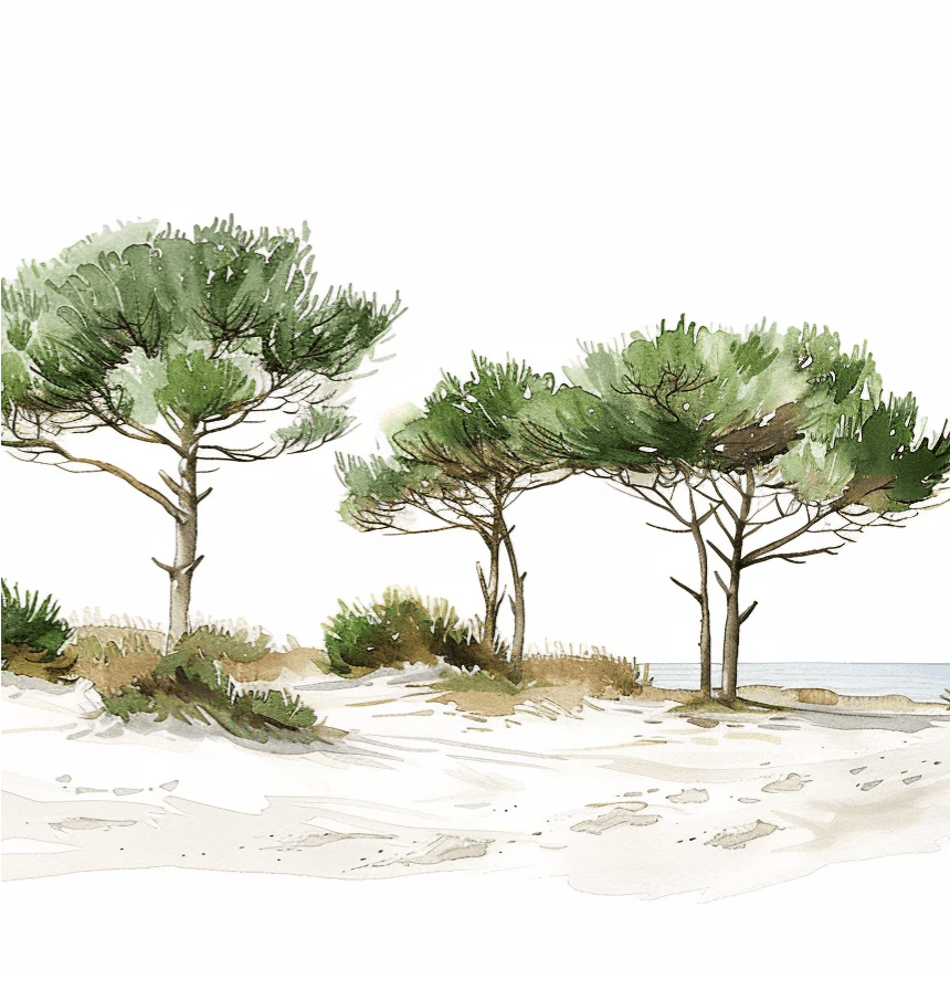 Les Pins de la Plage : Évasion Naturelle - Illulart: Papier peint panoramique