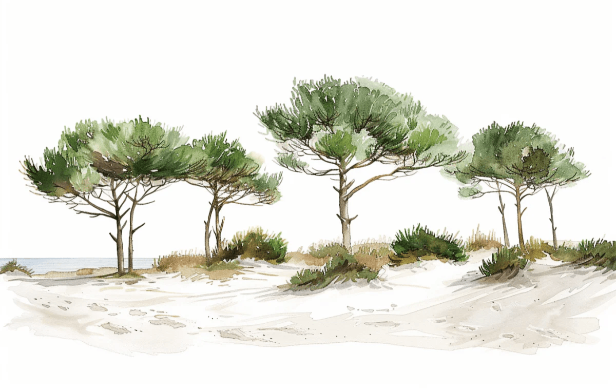 Les Pins de la Plage : Évasion Naturelle - Illulart: Papier peint panoramique