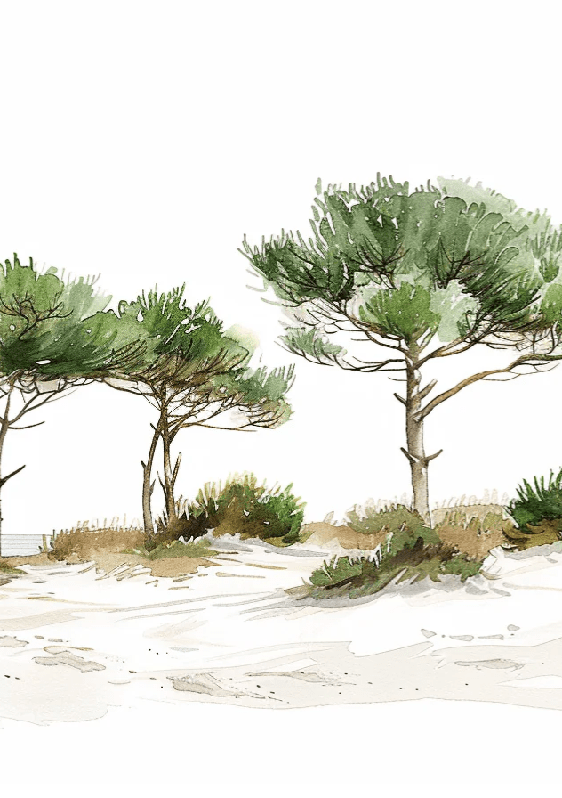Les Pins de la Plage : Évasion Naturelle