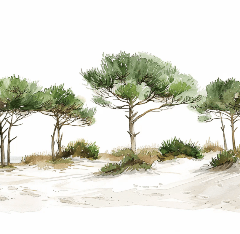 Les Pins de la Plage : Évasion Naturelle - Illulart: Papier peint panoramique