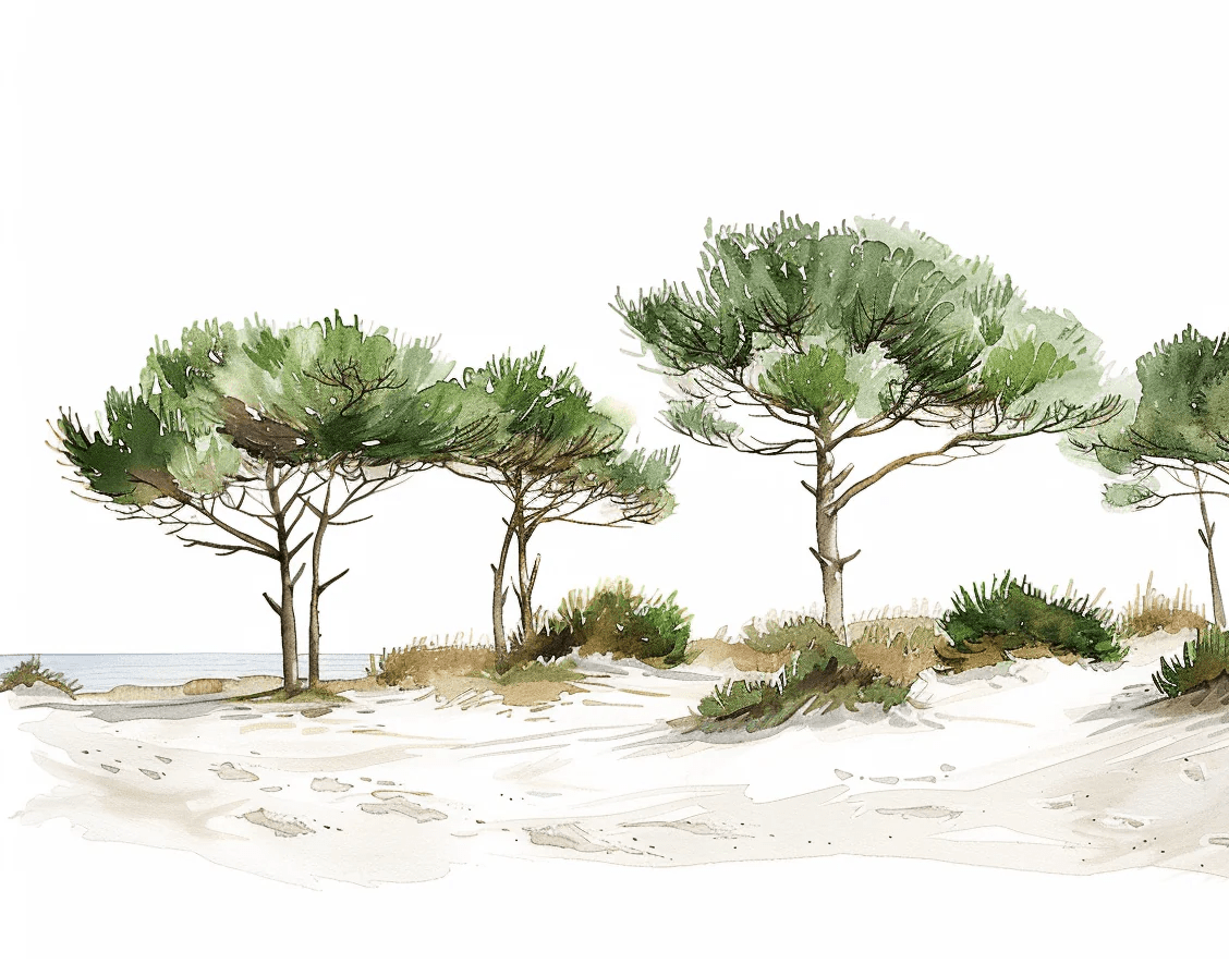 Les Pins de la Plage : Évasion Naturelle - Illulart: Papier peint panoramique
