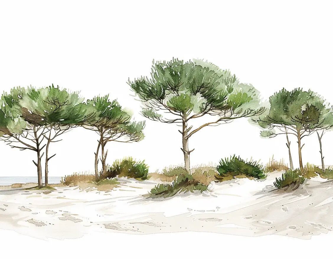 Les Pins de la Plage : Évasion Naturelle