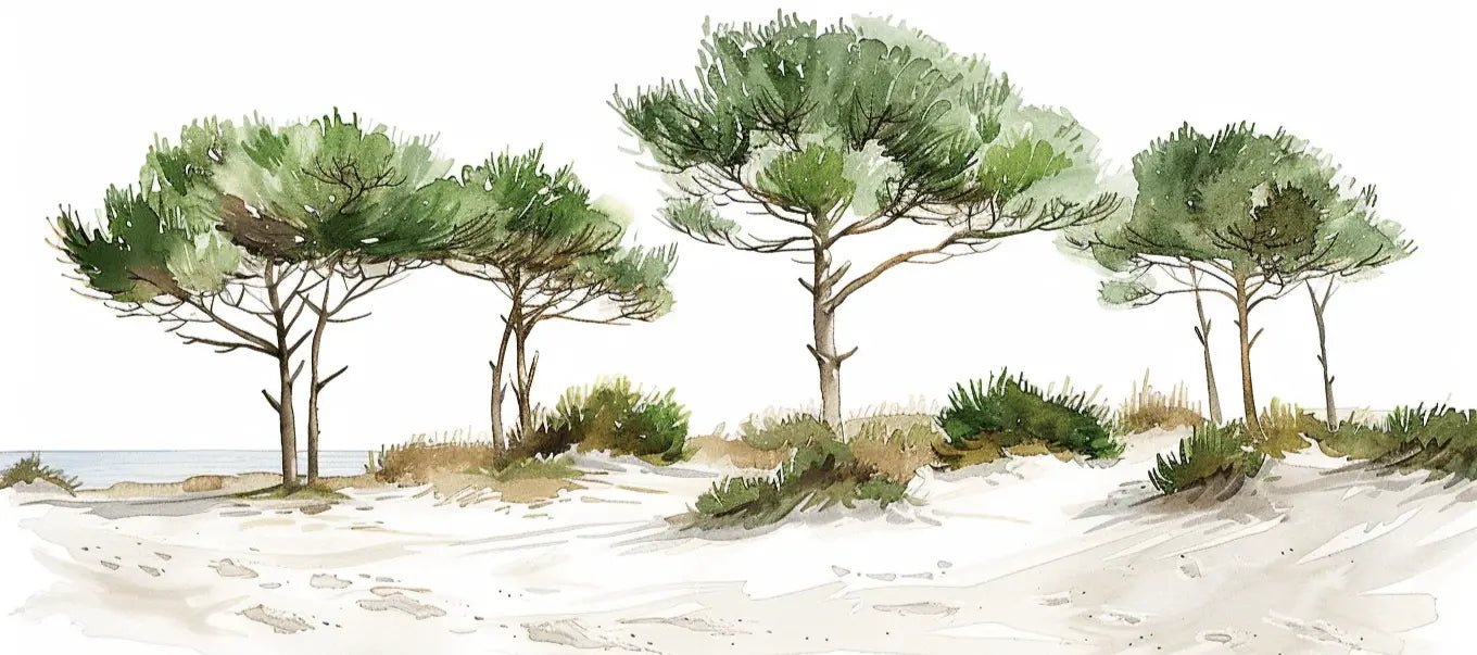 Les Pins de la Plage : Évasion Naturelle