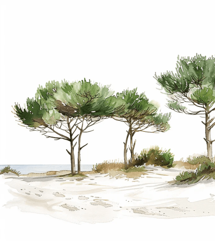 Les Pins de la Plage : Évasion Naturelle - Illulart: Papier peint panoramique