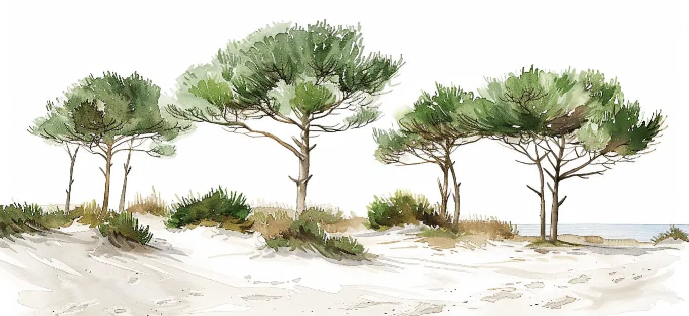 Les Pins de la Plage : Évasion Naturelle - Illulart: Papier peint panoramique