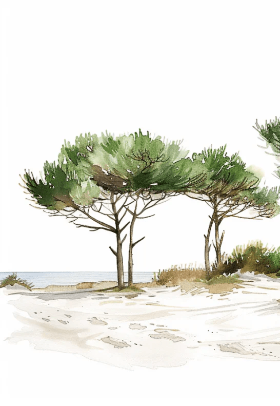 Les Pins de la Plage : Évasion Naturelle - Illulart: Papier peint panoramique
