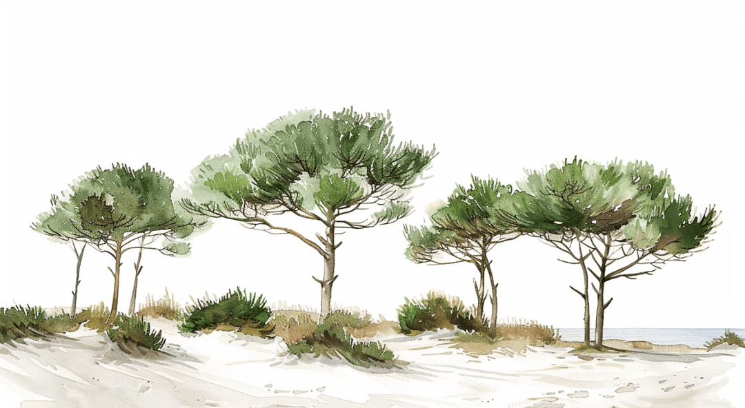 Les Pins de la Plage : Évasion Naturelle - Illulart: Papier peint panoramique