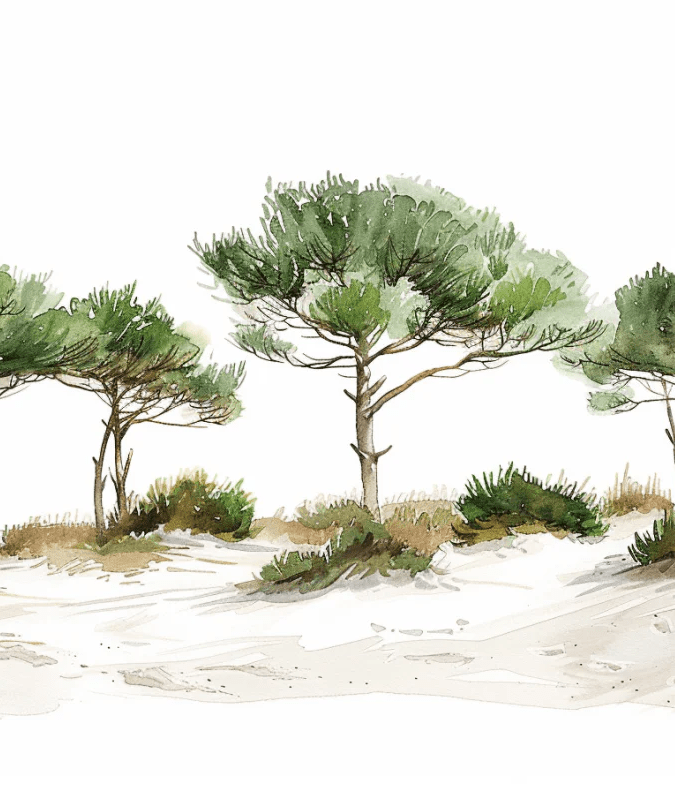 Les Pins de la Plage : Évasion Naturelle - Illulart: Papier peint panoramique