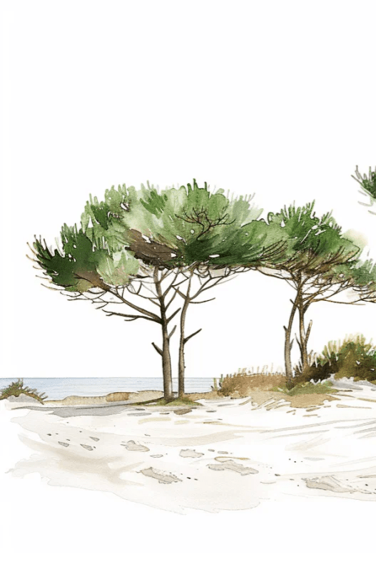 Les Pins de la Plage : Évasion Naturelle - Illulart: Papier peint panoramique