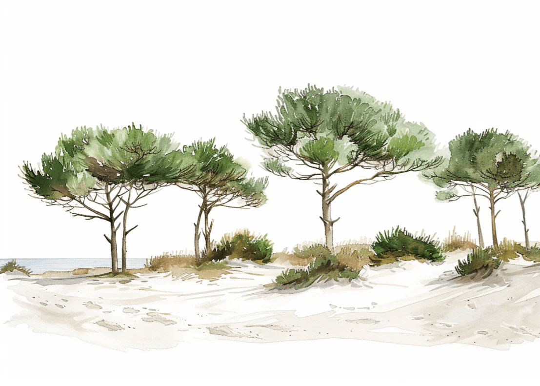 Les Pins de la Plage : Évasion Naturelle - Illulart: Papier peint panoramique