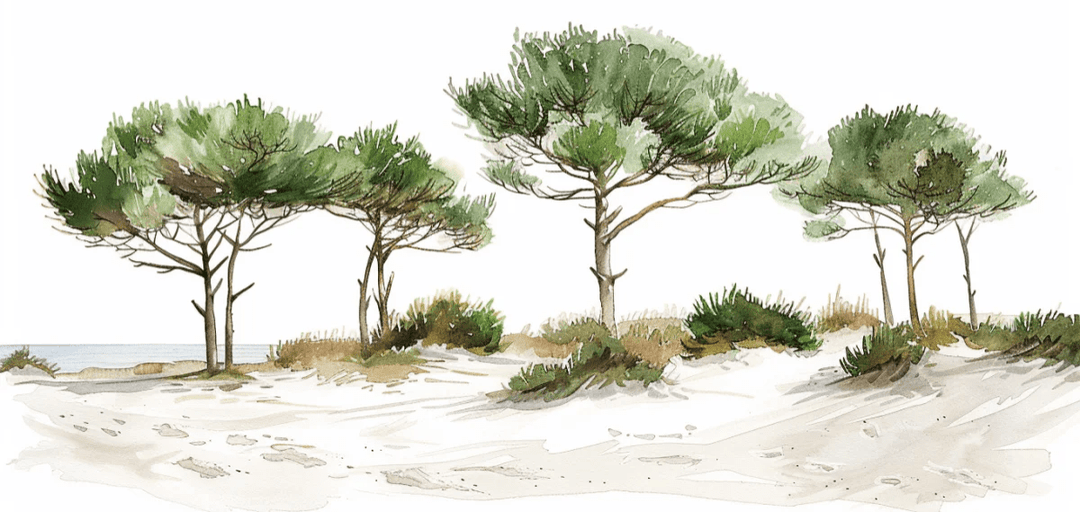 Les Pins de la Plage : Évasion Naturelle - Illulart: Papier peint panoramique