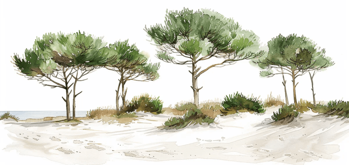 Les Pins de la Plage : Évasion Naturelle - Illulart: Papier peint panoramique