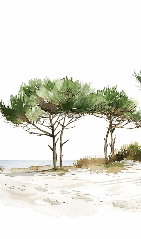 Les Pins de la Plage : Évasion Naturelle - Illulart: Papier peint panoramique