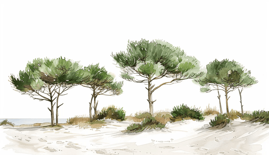 Les Pins de la Plage : Évasion Naturelle - Illulart: Papier peint panoramique