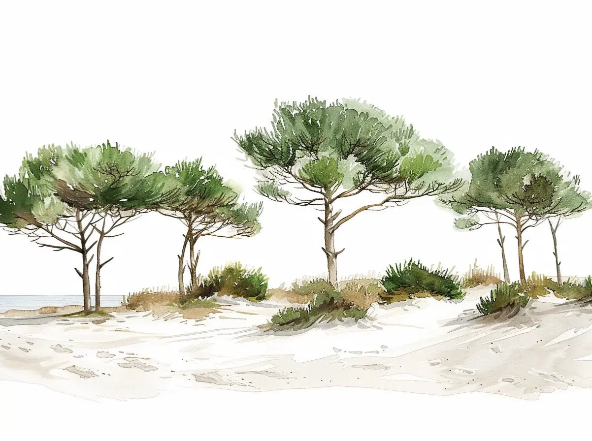 Les Pins de la Plage : Évasion Naturelle