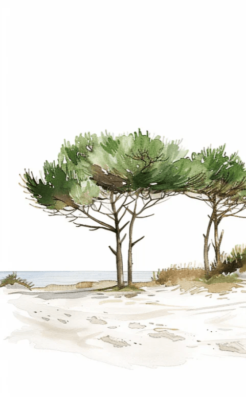 Les Pins de la Plage : Évasion Naturelle - Illulart: Papier peint panoramique