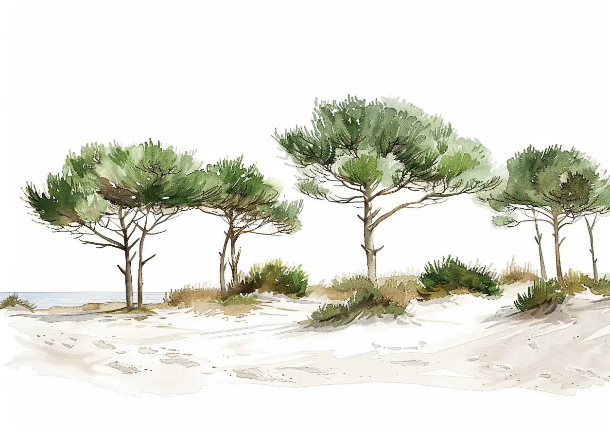 Les Pins de la Plage : Évasion Naturelle