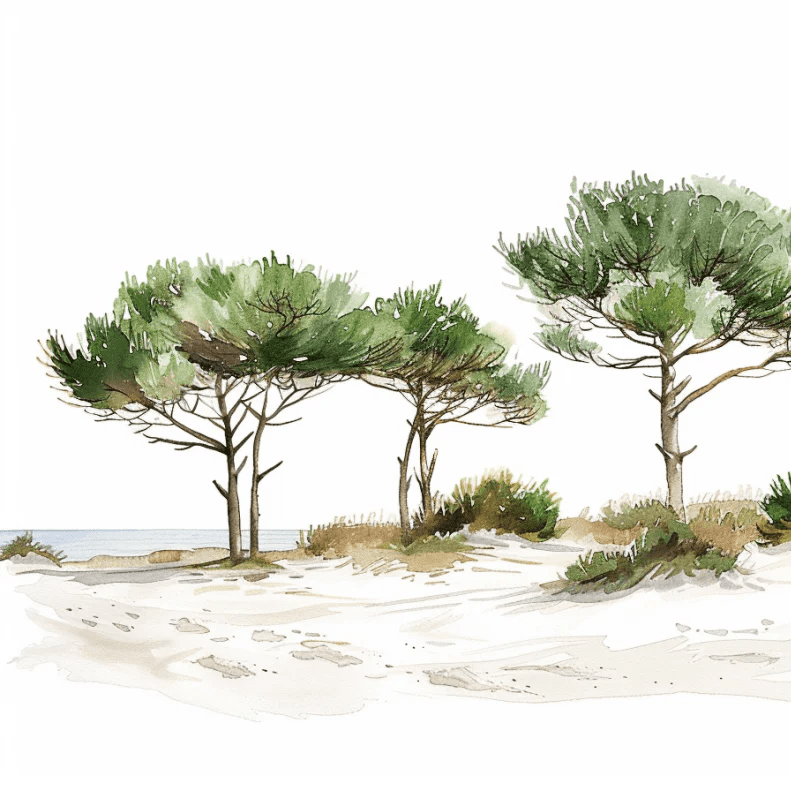 Les Pins de la Plage : Évasion Naturelle - Illulart: Papier peint panoramique