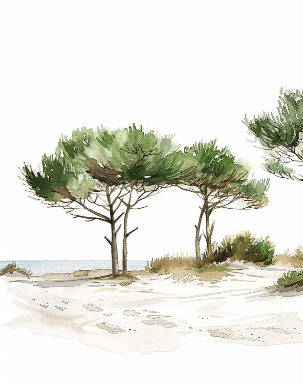 Les Pins de la Plage : Évasion Naturelle - Illulart: Papier peint panoramique