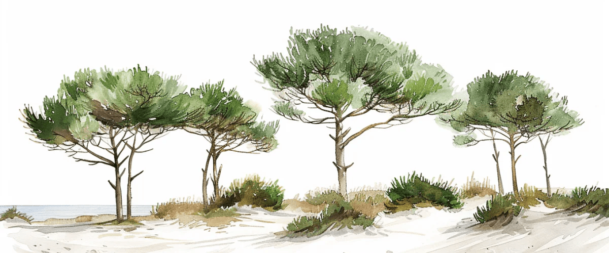 Les Pins de la Plage : Évasion Naturelle - Illulart: Papier peint panoramique