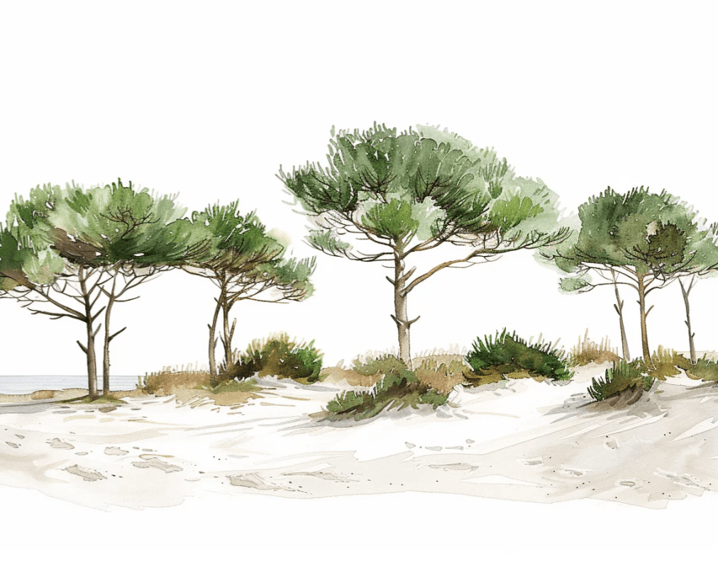 Les Pins de la Plage : Évasion Naturelle - Illulart: Papier peint panoramique