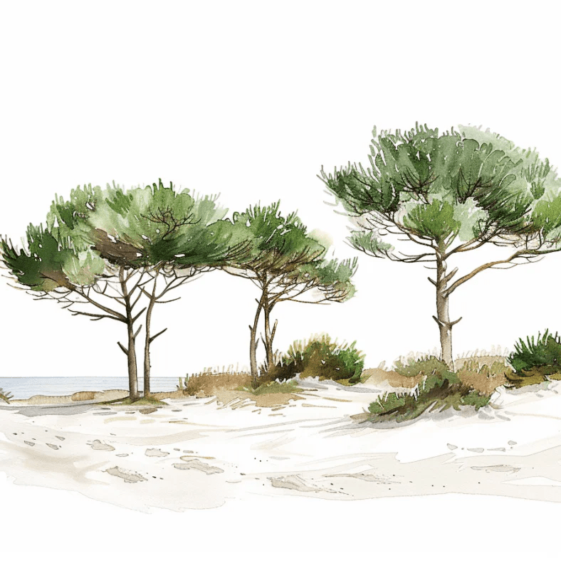 Les Pins de la Plage : Évasion Naturelle - Illulart: Papier peint panoramique