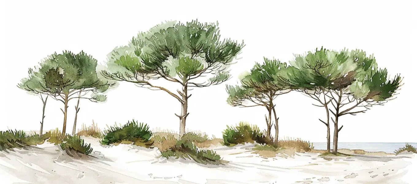 Les Pins de la Plage : Évasion Naturelle