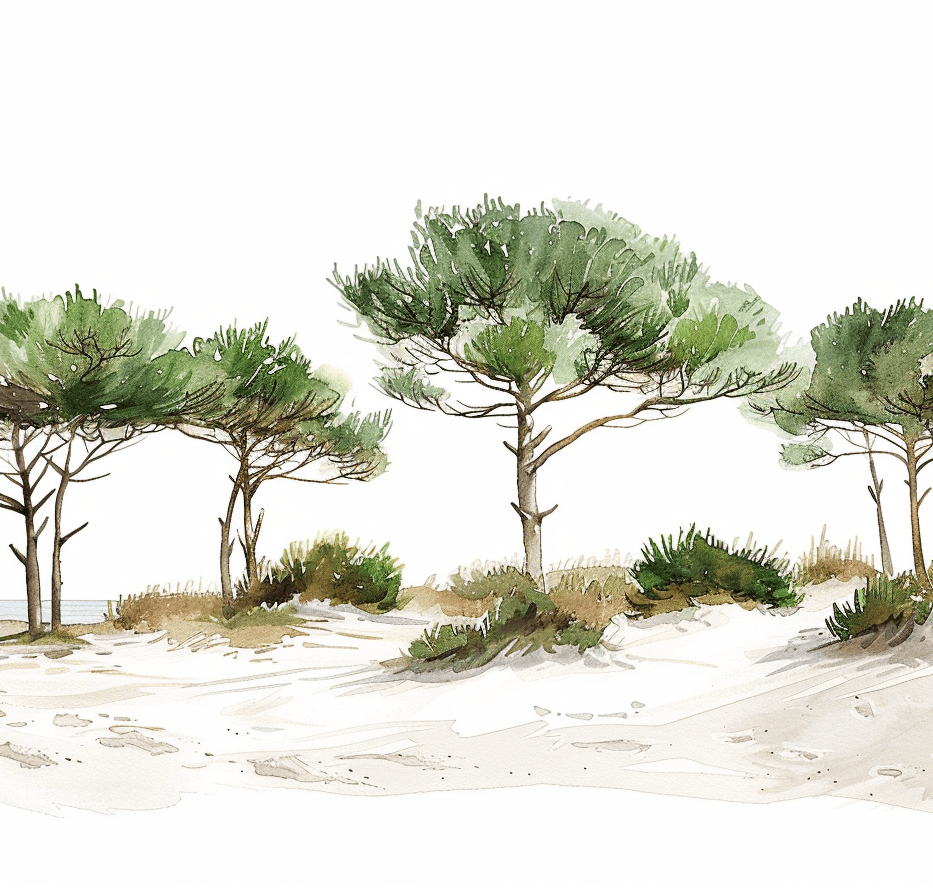 Les Pins de la Plage : Évasion Naturelle