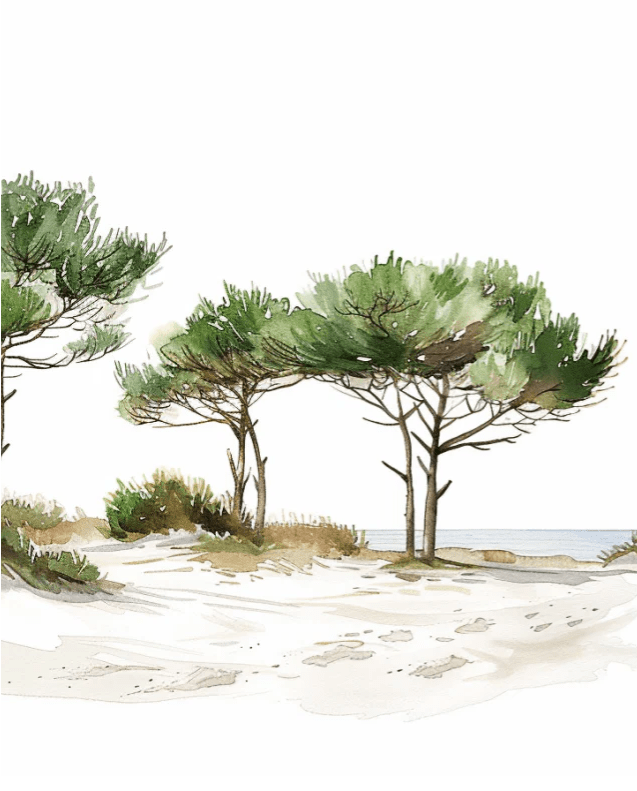 Les Pins de la Plage : Évasion Naturelle - Illulart: Papier peint panoramique