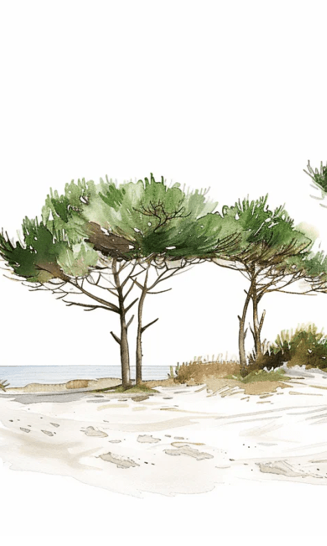 Les Pins de la Plage : Évasion Naturelle - Illulart: Papier peint panoramique