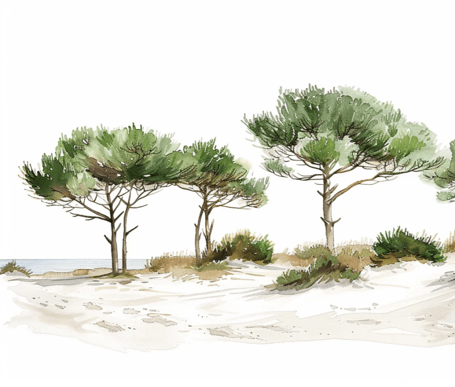 Les Pins de la Plage : Évasion Naturelle - Illulart: Papier peint panoramique