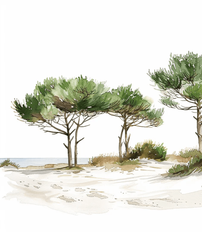 Les Pins de la Plage : Évasion Naturelle - Illulart: Papier peint panoramique