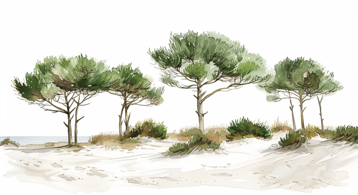 Les Pins de la Plage : Évasion Naturelle - Illulart: Papier peint panoramique