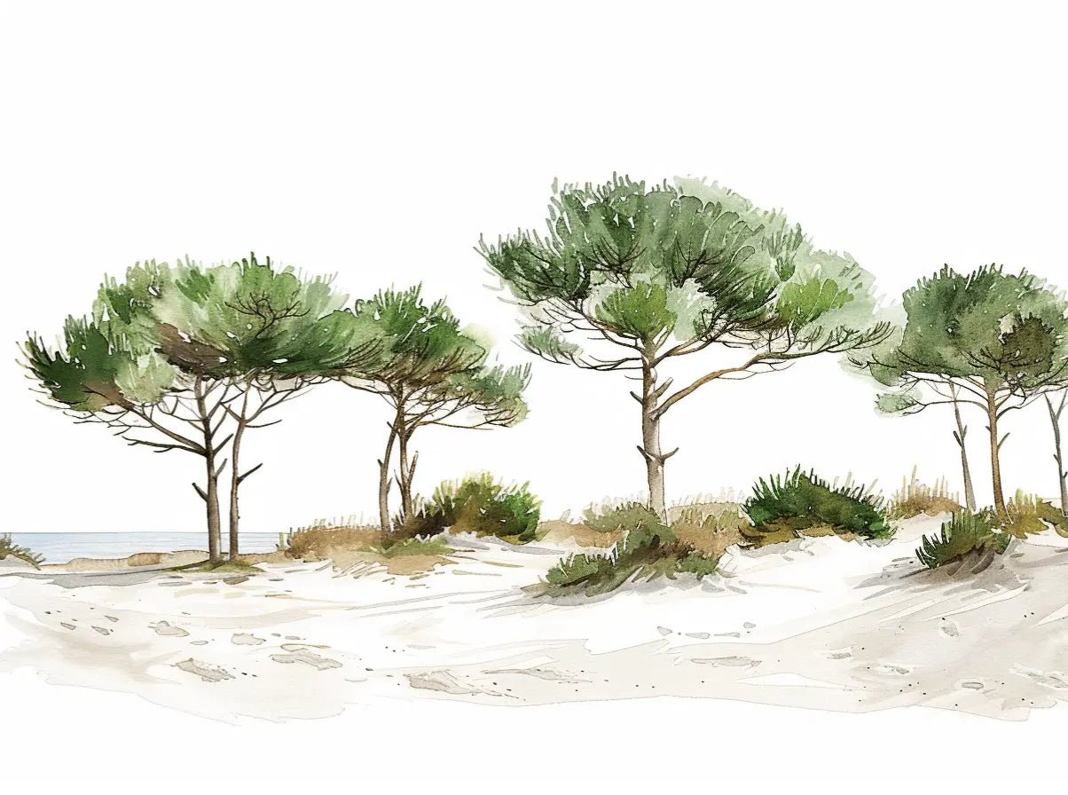 Les Pins de la Plage : Évasion Naturelle