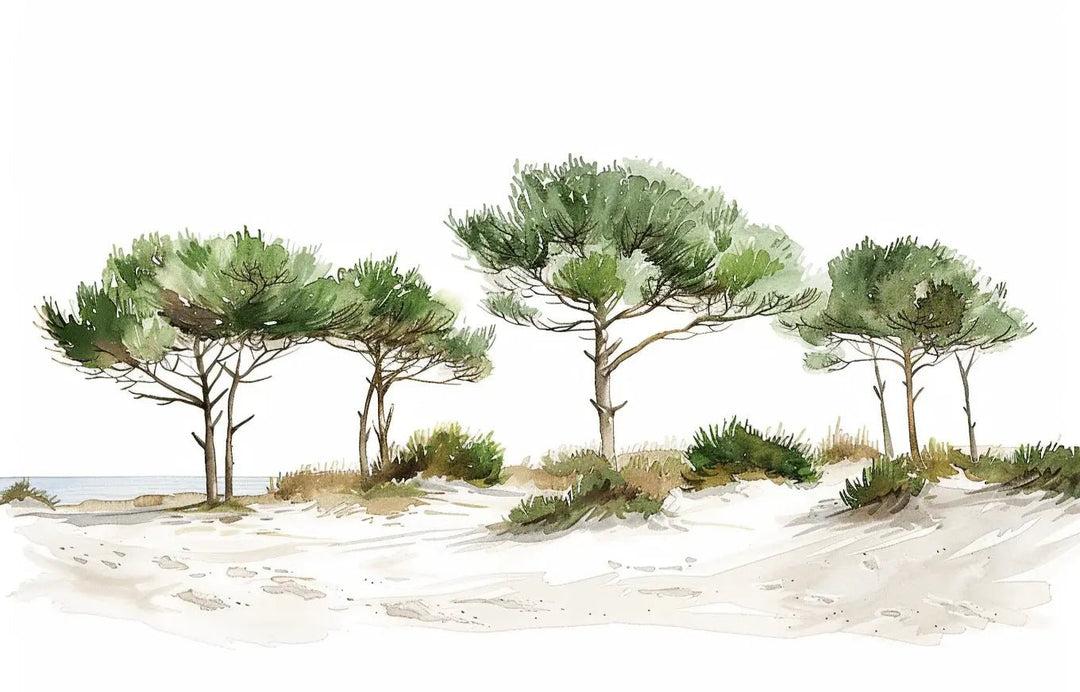 Les Pins de la Plage : Évasion Naturelle - Illulart: Papier peint panoramique