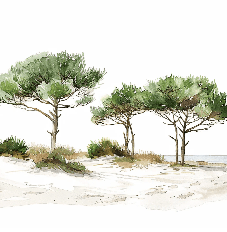 Les Pins de la Plage : Évasion Naturelle - Illulart: Papier peint panoramique