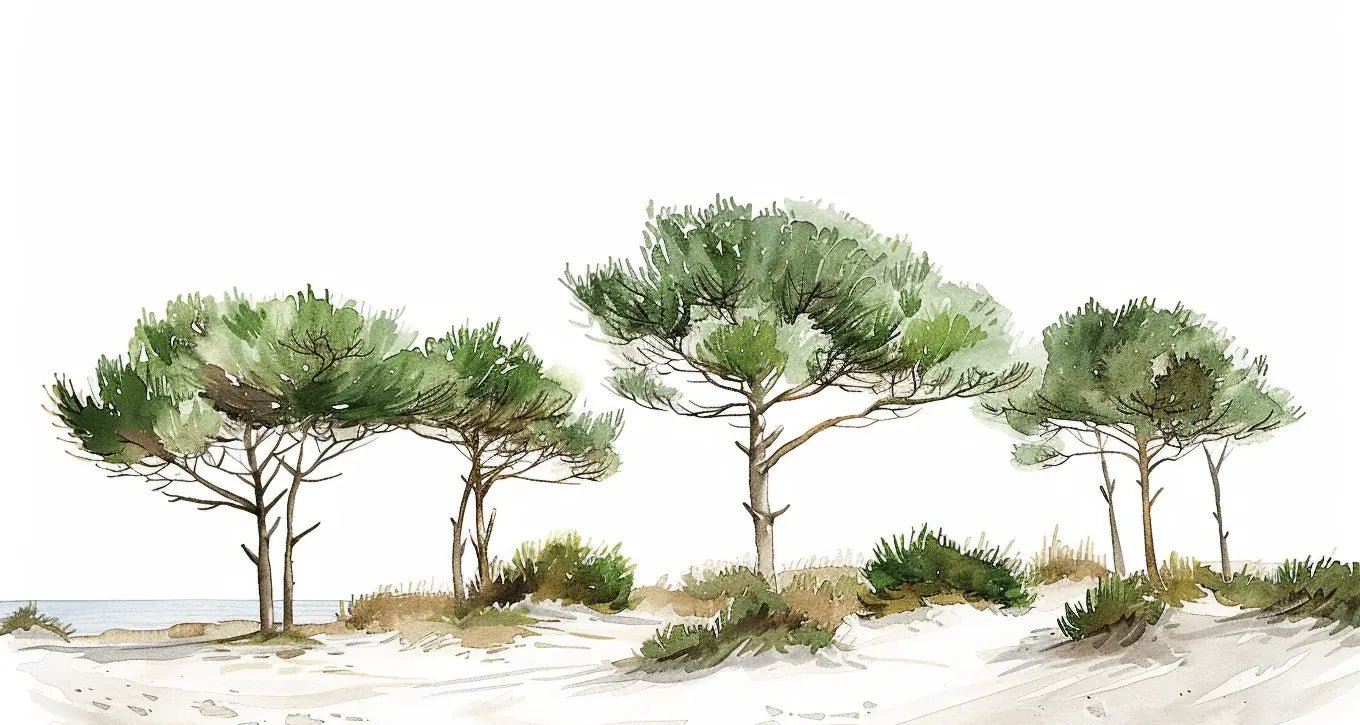 Les Pins de la Plage : Évasion Naturelle - Illulart: Papier peint panoramique