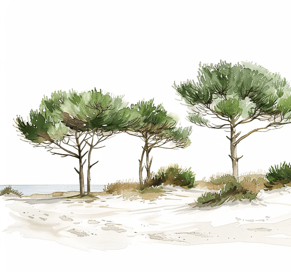 Les Pins de la Plage : Évasion Naturelle - Illulart: Papier peint panoramique