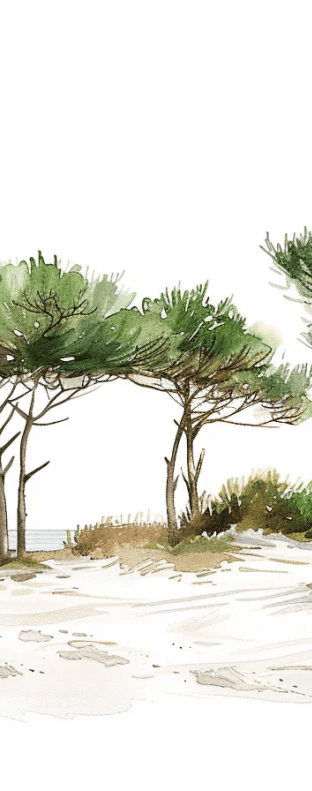 Les Pins de la Plage : Évasion Naturelle - Illulart: Papier peint panoramique