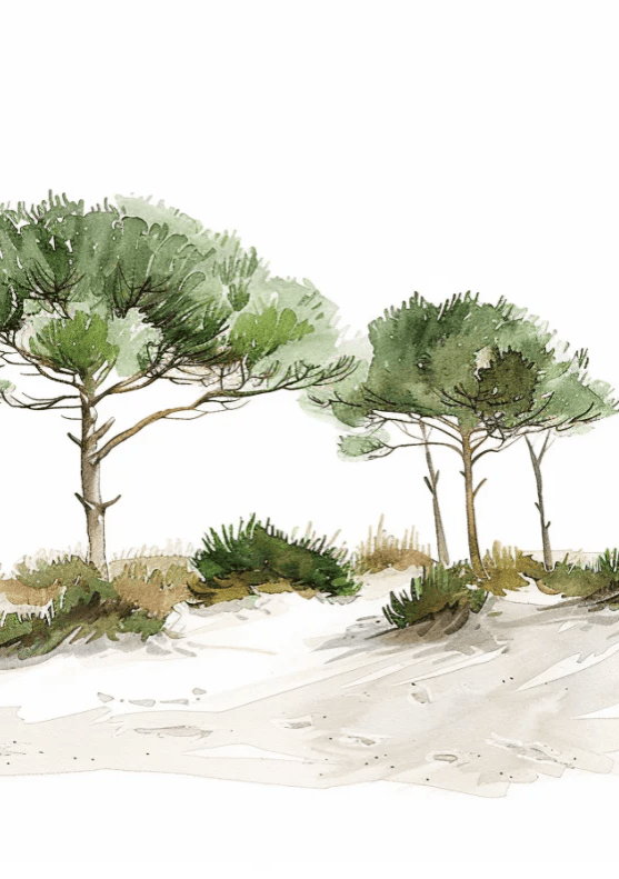 Les Pins de la Plage : Évasion Naturelle - Illulart: Papier peint panoramique