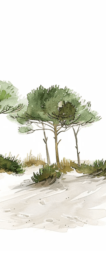 Les Pins de la Plage : Évasion Naturelle - Illulart: Papier peint panoramique