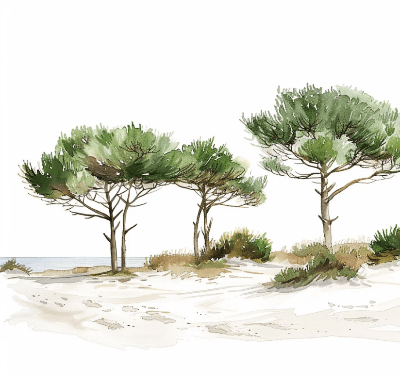 Les Pins de la Plage : Évasion Naturelle - Illulart: Papier peint panoramique