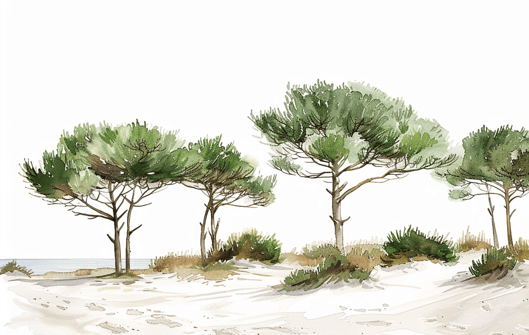 Les Pins de la Plage : Évasion Naturelle - Illulart: Papier peint panoramique